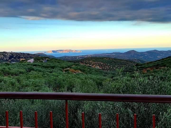 Fοivos And Athina Villas 阿卡尼斯 外观 照片